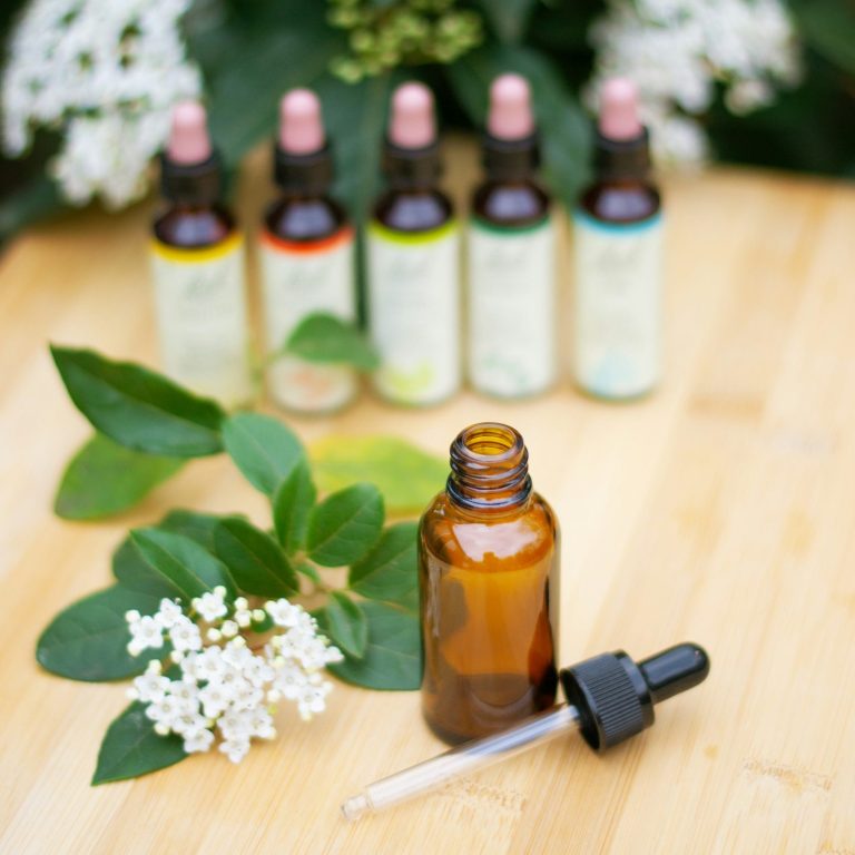 Flacons de plantes et d’huiles naturelles utilisés dans une approche de naturopathie